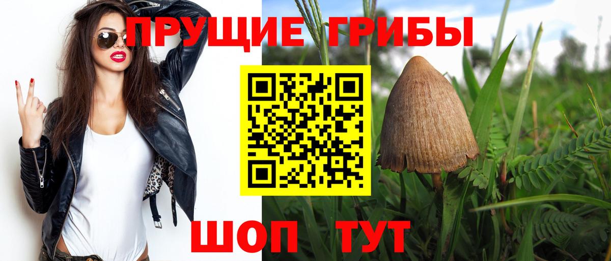 Галлюциногенные грибы GOLDEN TEACHER Звенигород