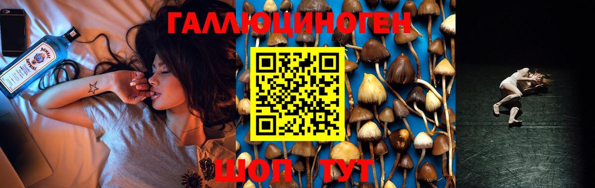 Псилоцибиновые грибы MAGIC MUSHROOMS  Вход с VPN  Звенигород 